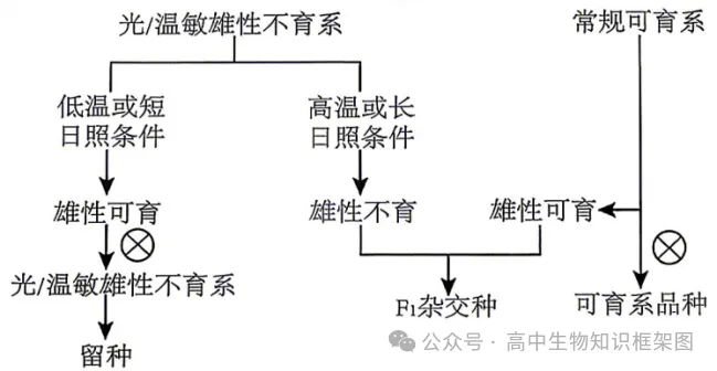 2026年哈尔滨市高考第二次模拟考试生物学试题和答案 ⊙ 第7张