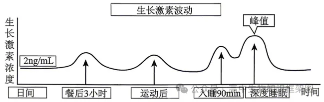 2026年哈尔滨市高考第二次模拟考试生物学试题和答案 ⊙ 第8张