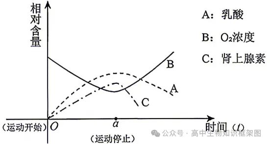 2026年哈尔滨市高考第二次模拟考试生物学试题和答案 ⊙ 第13张