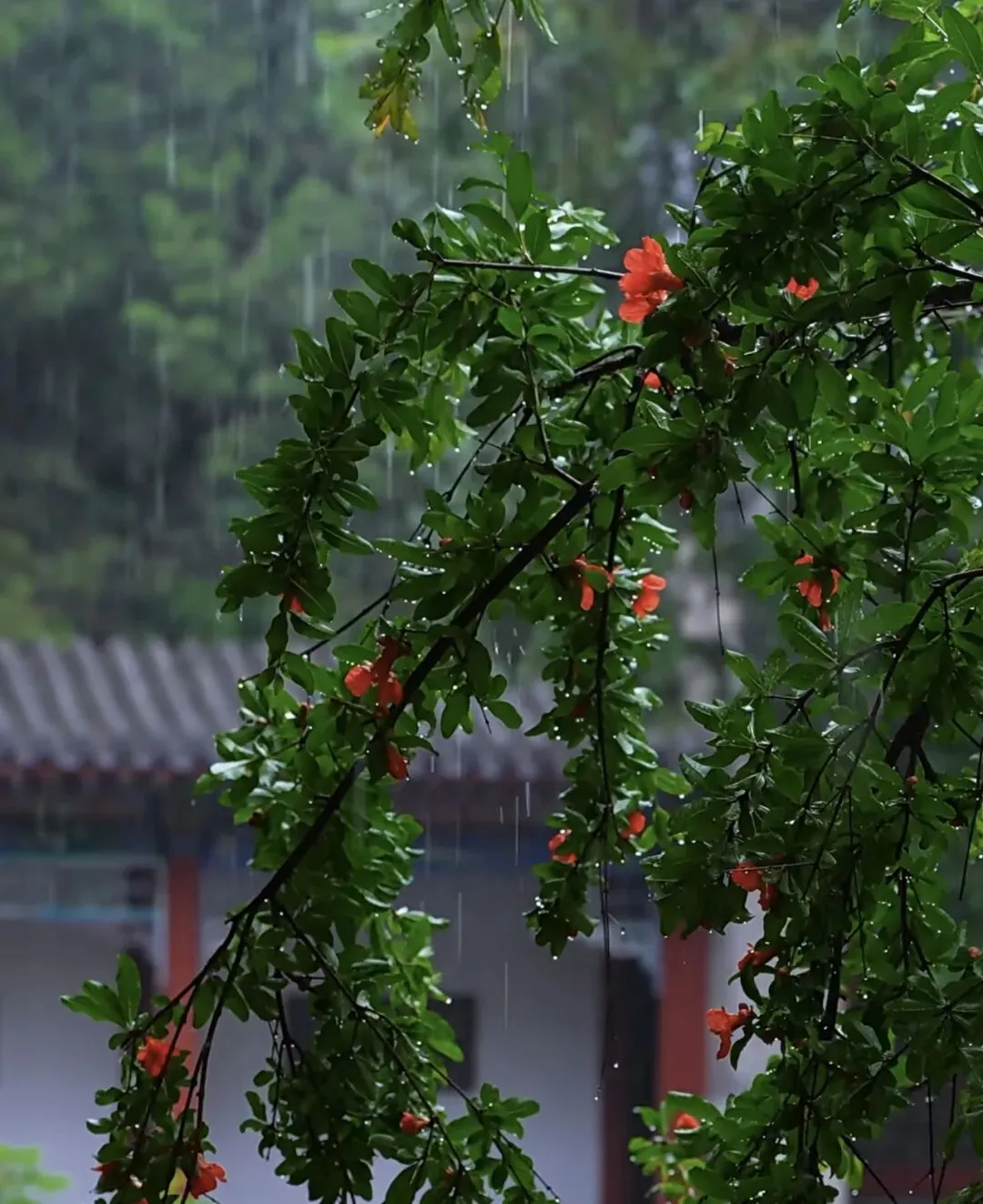 182.中考三十天(7):二练,一场与中考的对话-第1张图片-四季读书网 182.中考三十天(7):二练,一场与中考的对话-第1张图片-四季读书网