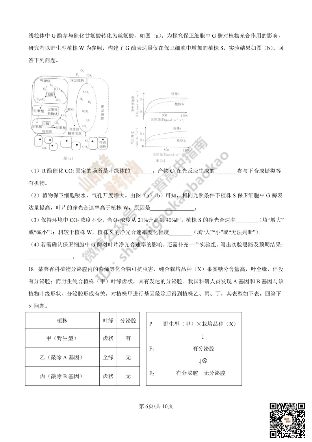 2025年山西高考真题全科试题与答案!附送高清打印版 第154张