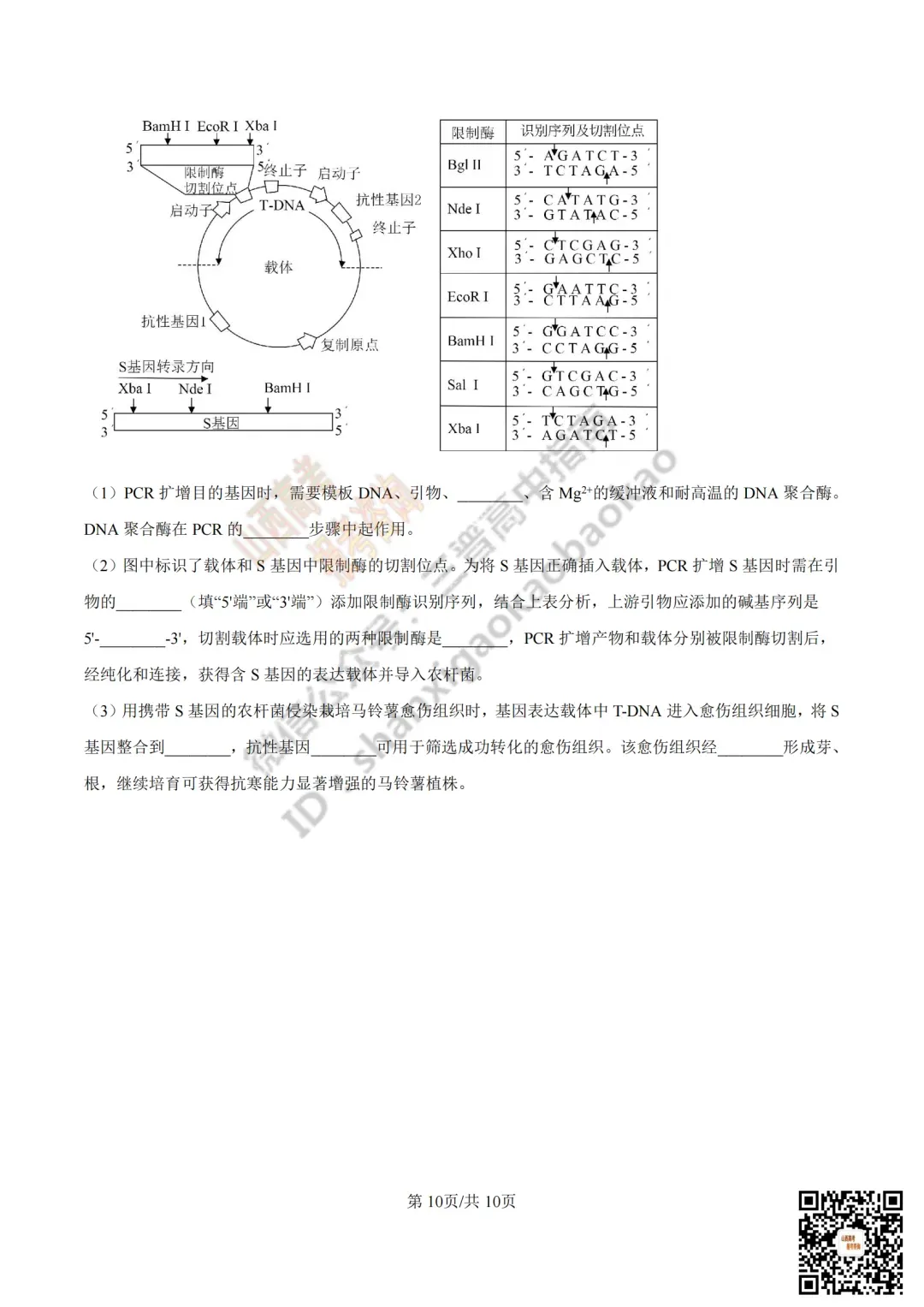 2025年山西高考真题全科试题与答案!附送高清打印版 第158张