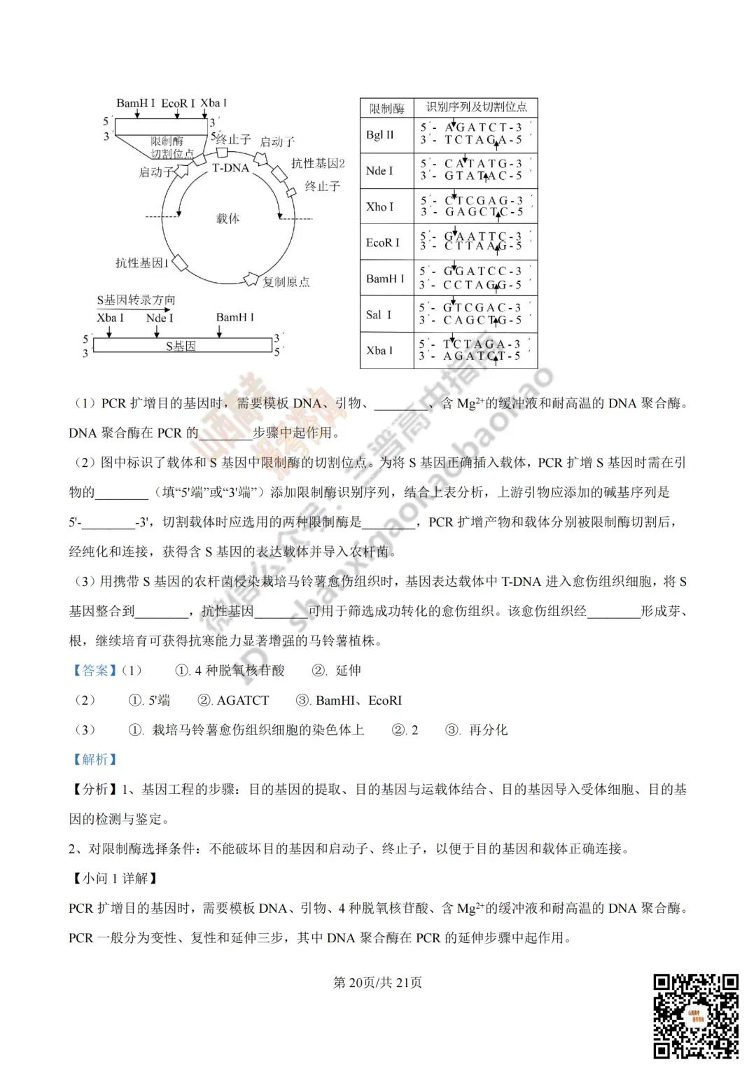 2025年山西高考真题全科试题与答案!附送高清打印版 第178张