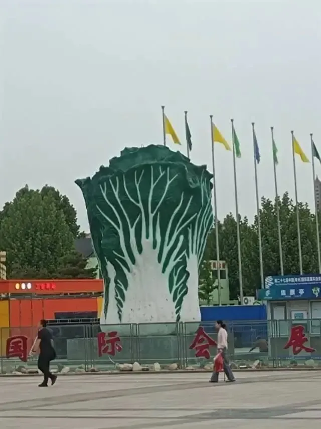 26真题:年轻干部下基层存在形式主义,无法解决真问题? 第1张