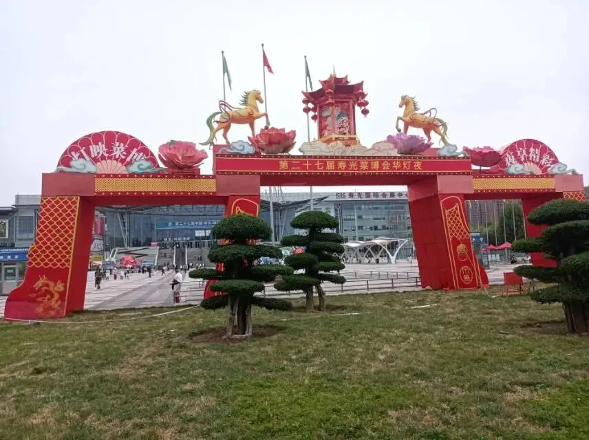 26真题:年轻干部下基层存在形式主义,无法解决真问题? 第2张