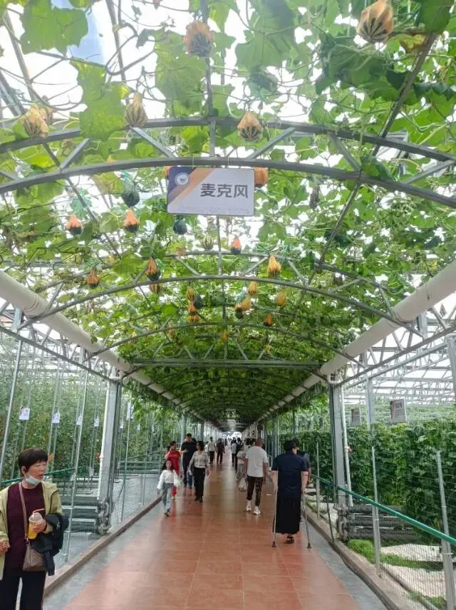 26真题:年轻干部下基层存在形式主义,无法解决真问题? 第4张