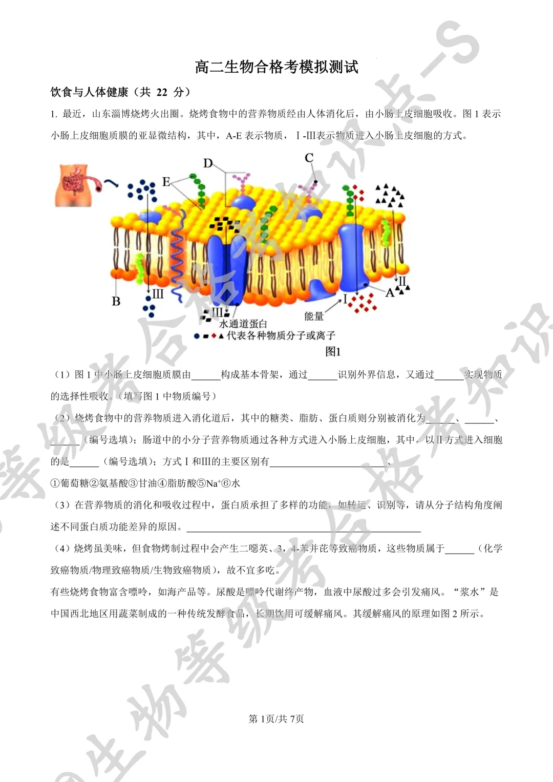【上海合格考试卷】上海浦东新区民办东鼎外国语学校2024-2025学年高二下学期生物 合格考测试+答案 第1张