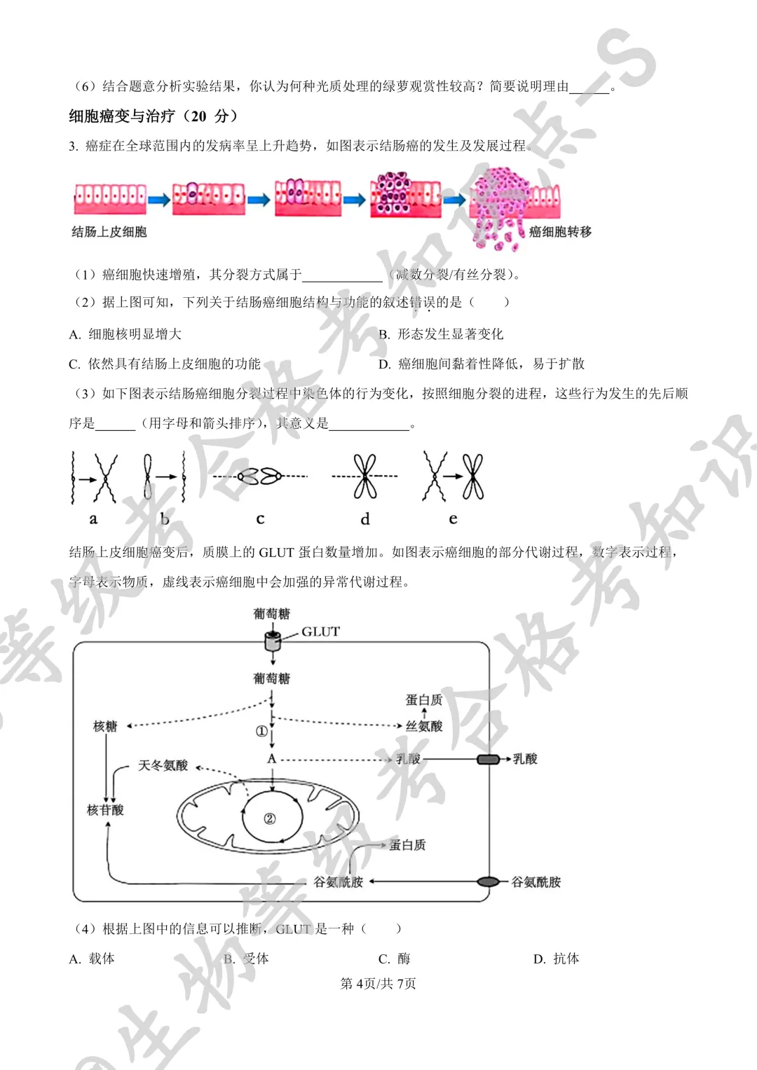 【上海合格考试卷】上海浦东新区民办东鼎外国语学校2024-2025学年高二下学期生物 合格考测试+答案 第4张