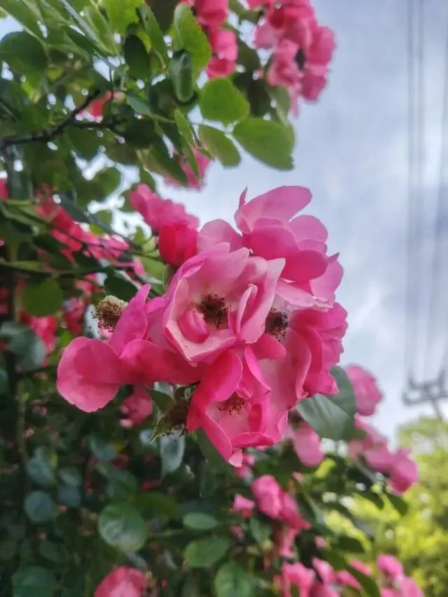 中考英语最最最重要的... 第1张