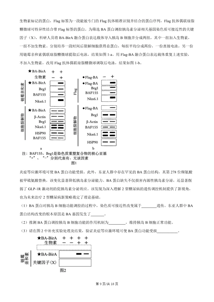 2026北京昌平高三一模生物试卷 第9张
