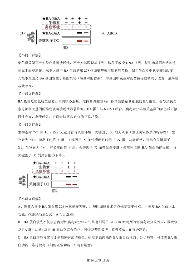 2026北京昌平高三一模生物试卷 第16张
