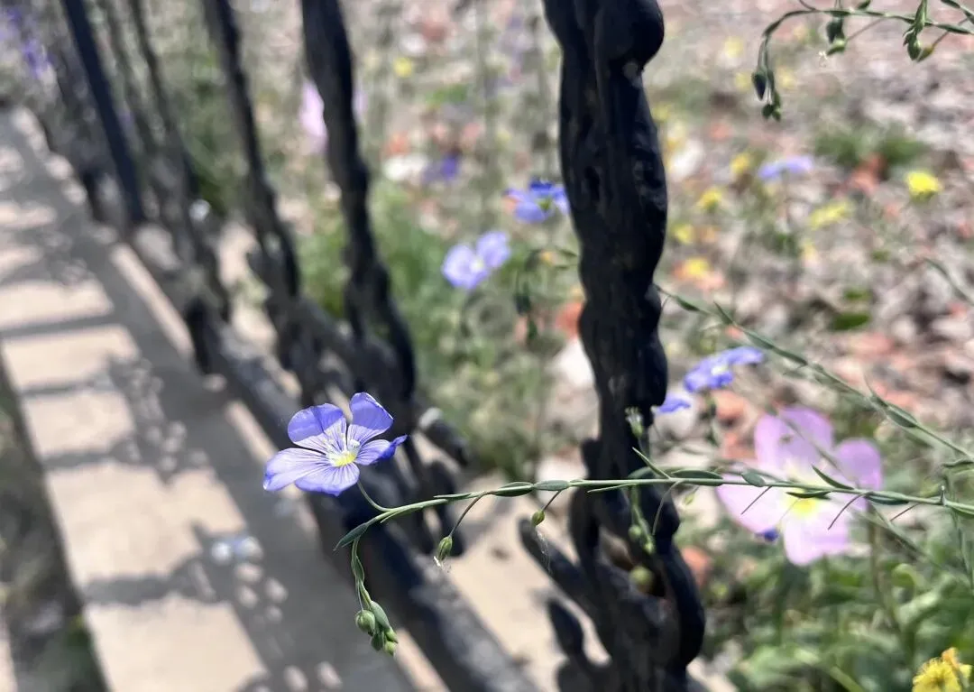 中考即将来临之际,我们却选择了另一条赛道 第2张 中考即将来临之际,我们却选择了另一条赛道 第2张