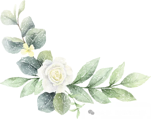 狂飙百日,决胜中考——临河四中2024届中考百日誓师大会 第7张