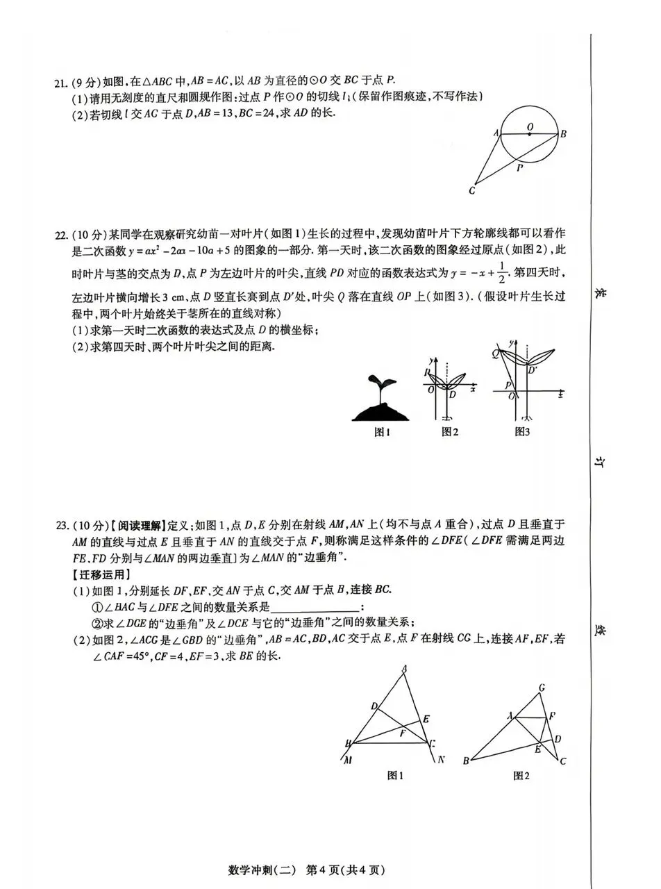 【二模】2026年河南省中招考试模拟冲刺作业(二)及答案 第4张