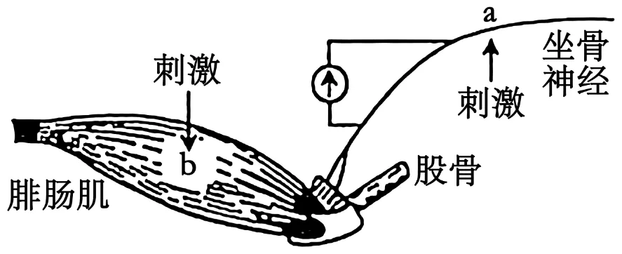 2025年安徽省高考生物学真题和答案(附各省下载) ⊙ 第6张 2025年安徽省高考生物学真题和答案(附各省下载) ⊙ 第6张