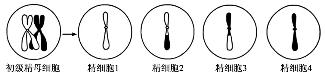 2025年安徽省高考生物学真题和答案(附各省下载) ⊙ 第8张 2025年安徽省高考生物学真题和答案(附各省下载) ⊙ 第8张