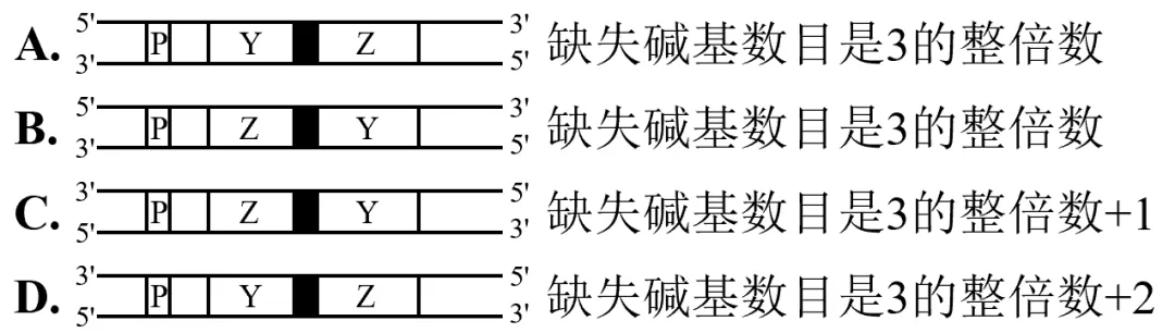 2025年安徽省高考生物学真题和答案(附各省下载) ⊙ 第9张 2025年安徽省高考生物学真题和答案(附各省下载) ⊙ 第9张