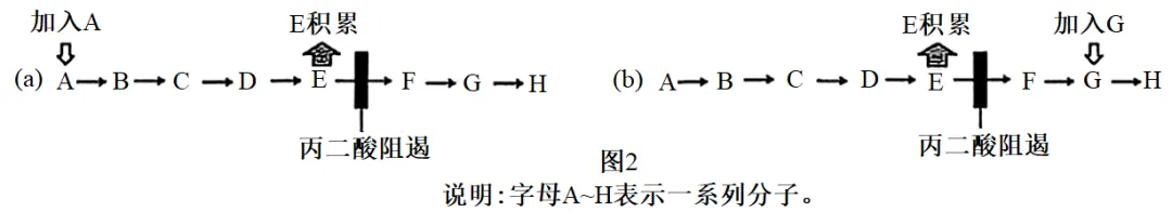 2025年安徽省高考生物学真题和答案(附各省下载) ⊙ 第12张 2025年安徽省高考生物学真题和答案(附各省下载) ⊙ 第12张