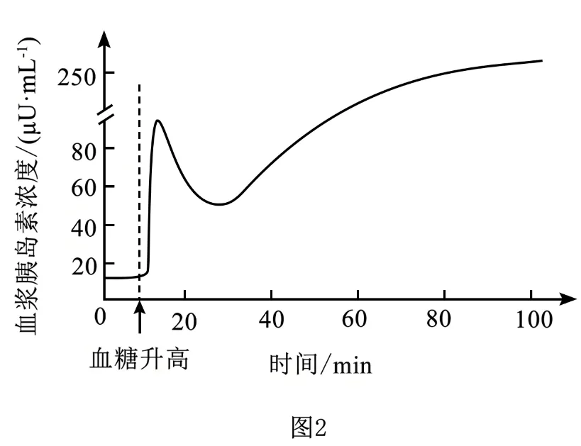 2025年安徽省高考生物学真题和答案(附各省下载) ⊙ 第15张 2025年安徽省高考生物学真题和答案(附各省下载) ⊙ 第15张