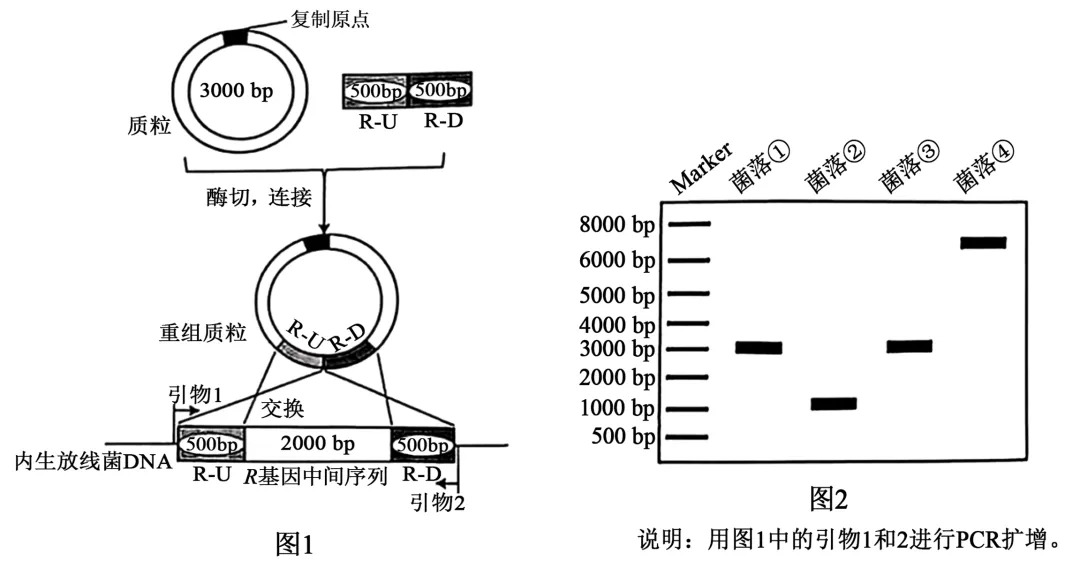 2025年安徽省高考生物学真题和答案(附各省下载) ⊙ 第18张 2025年安徽省高考生物学真题和答案(附各省下载) ⊙ 第18张