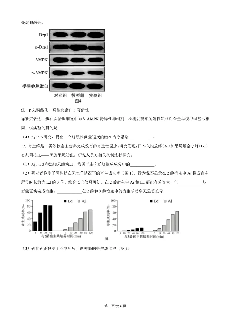 2026北京门头沟高三一模生物试卷 第6张