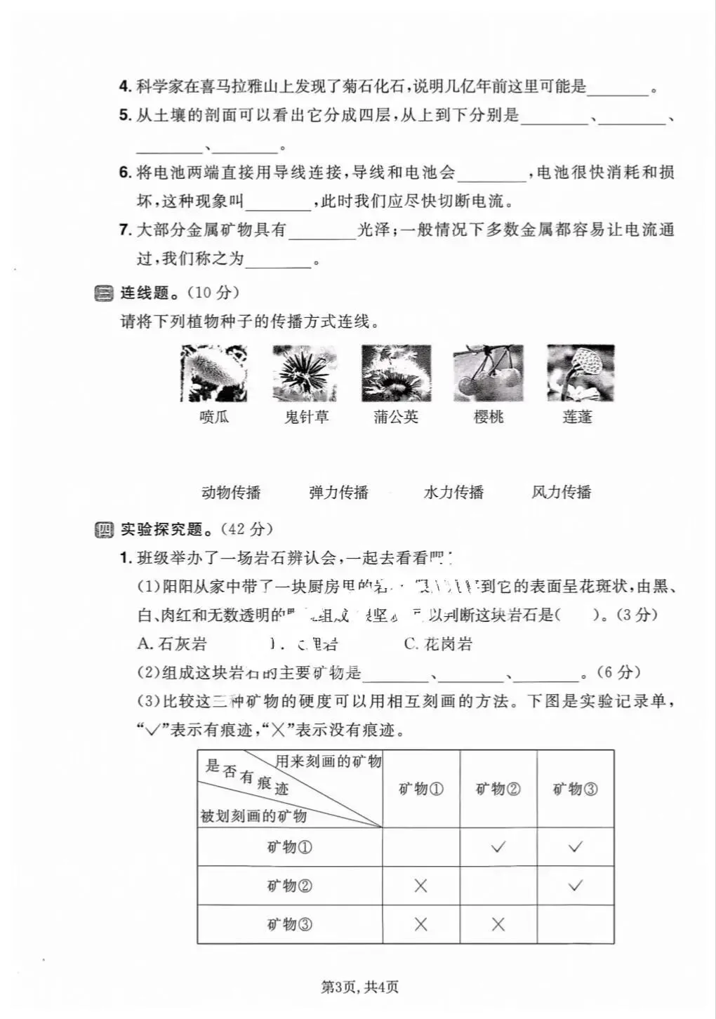 【期末试卷】2025-2026学年教科版小学科学四年级下册期末质量检测卷,素养测评卷(含答案)5套 | 电子版可打印 第3张