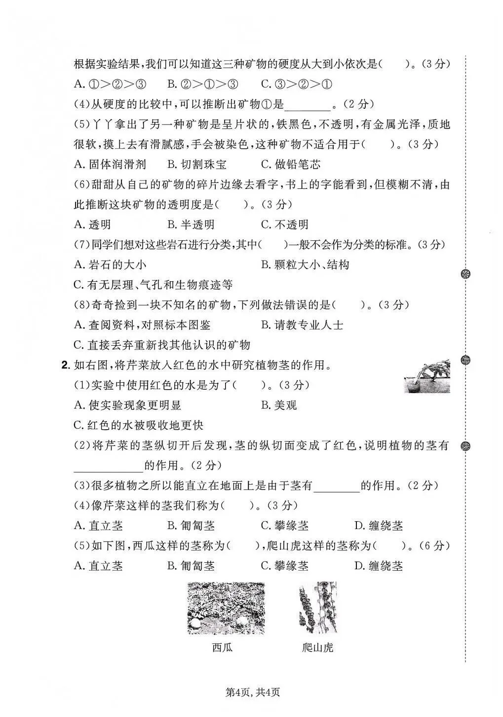 【期末试卷】2025-2026学年教科版小学科学四年级下册期末质量检测卷,素养测评卷(含答案)5套 | 电子版可打印 第4张