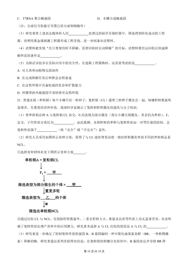 2026北京门头沟高三一模生物试卷 第10张
