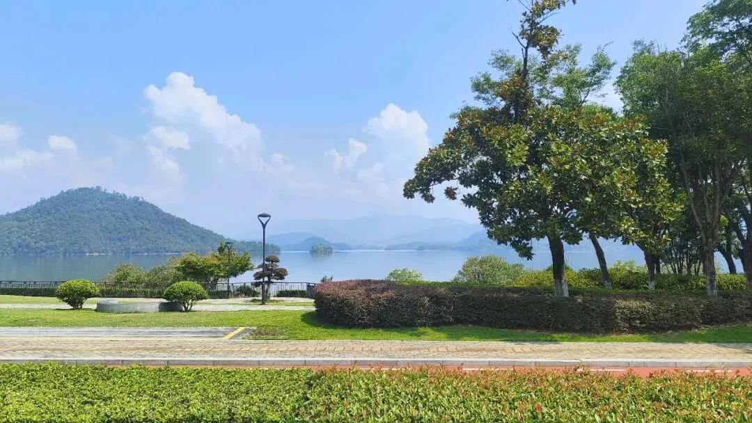 中考化学复习——初中化学科学探究解题思路及模板 第10张