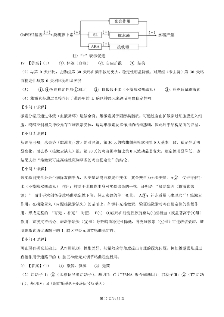 2026北京门头沟高三一模生物试卷 第15张