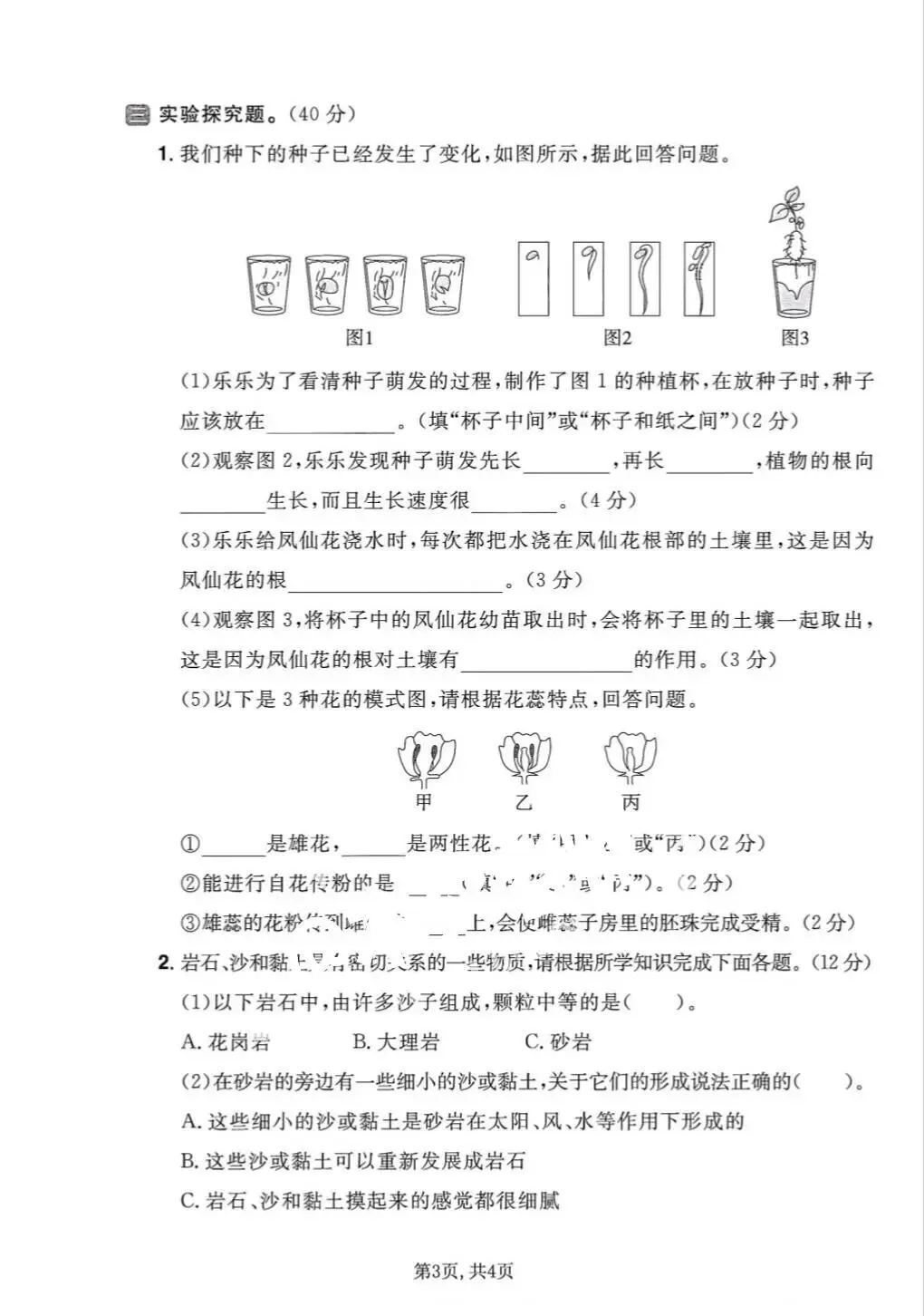 【期末试卷】2025-2026学年教科版小学科学四年级下册期末质量检测卷,素养测评卷(含答案)5套 | 电子版可打印 第10张