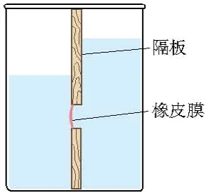 中考物理回归教材重难点4 力学实验 第5张