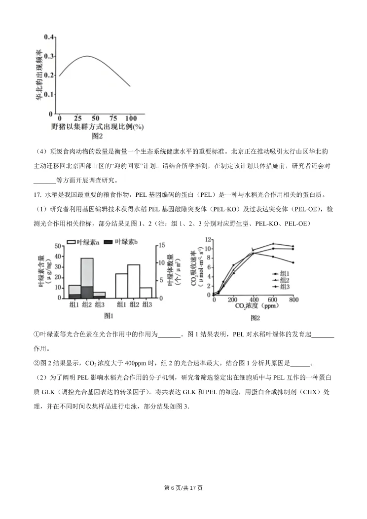 2026北京石景山高三一模生物试卷 第6张