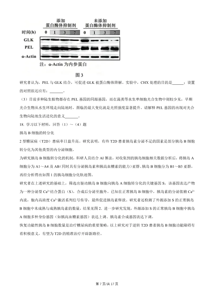 2026北京石景山高三一模生物试卷 第7张