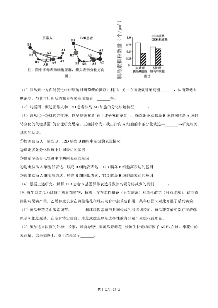 2026北京石景山高三一模生物试卷 第8张