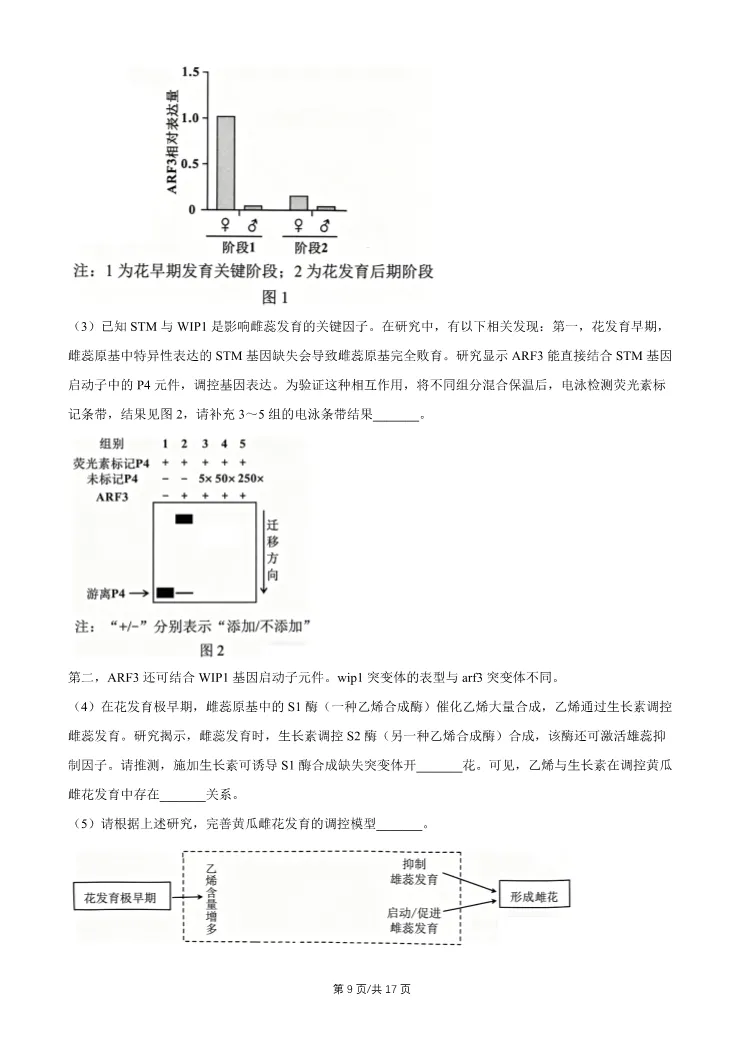 2026北京石景山高三一模生物试卷 第9张