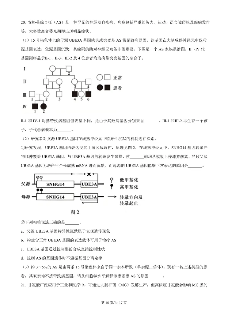 2026北京石景山高三一模生物试卷 第10张