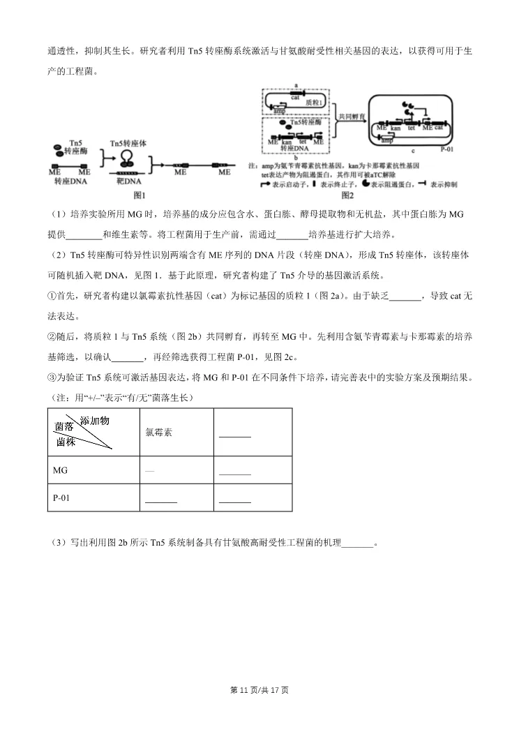 2026北京石景山高三一模生物试卷 第11张