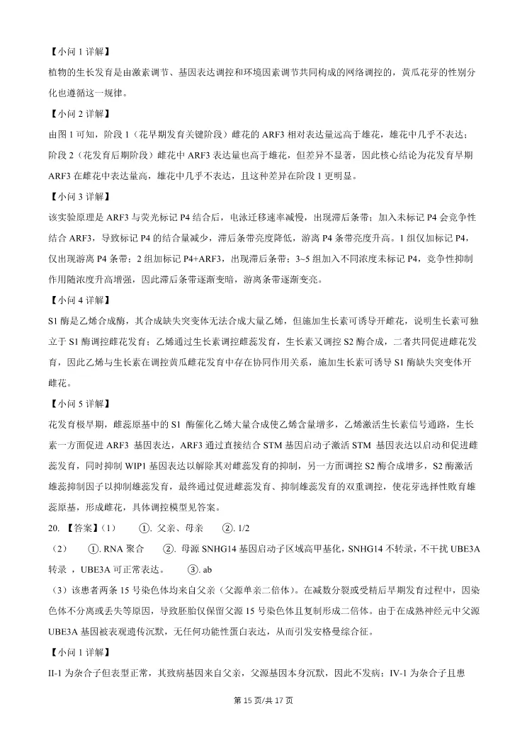 2026北京石景山高三一模生物试卷 第15张