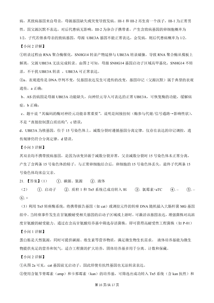 2026北京石景山高三一模生物试卷 第16张