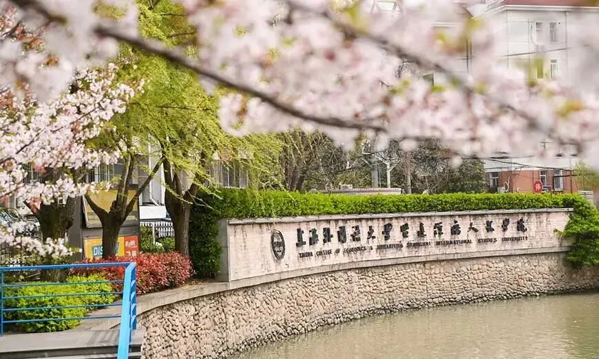 中考分数不够普高?上海华外学校3+3贯通课程招生简章 第2张