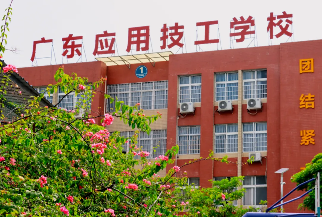 广东中考分数低?想读形象设计,这些学校低分稳稳上车 第2张