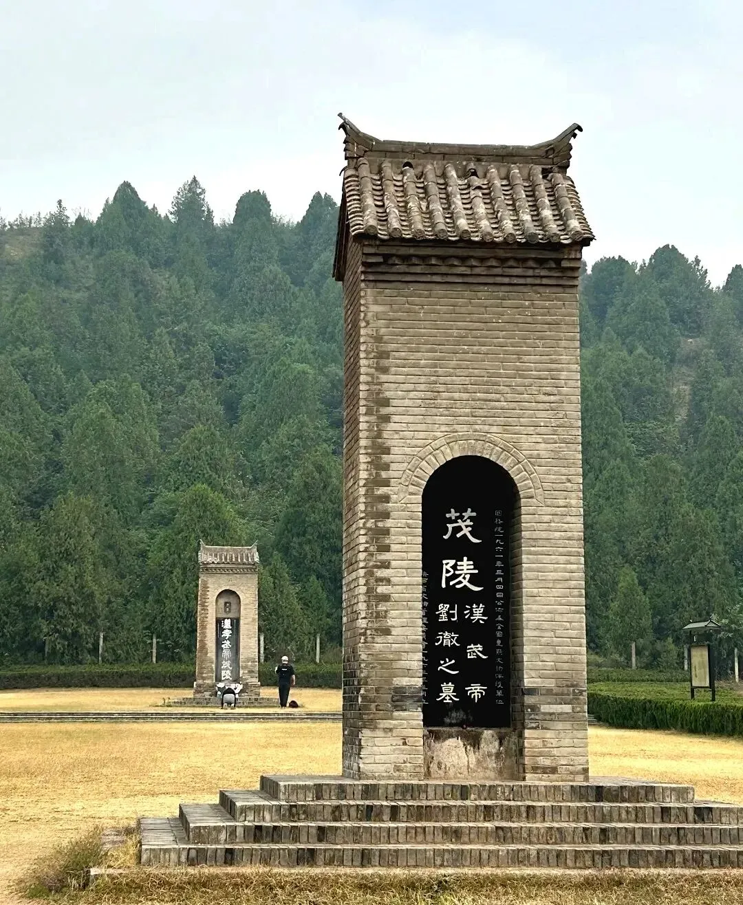 【2026中考结束+暑假双档】|秦岭地心与生灵探险记|招募 第10张