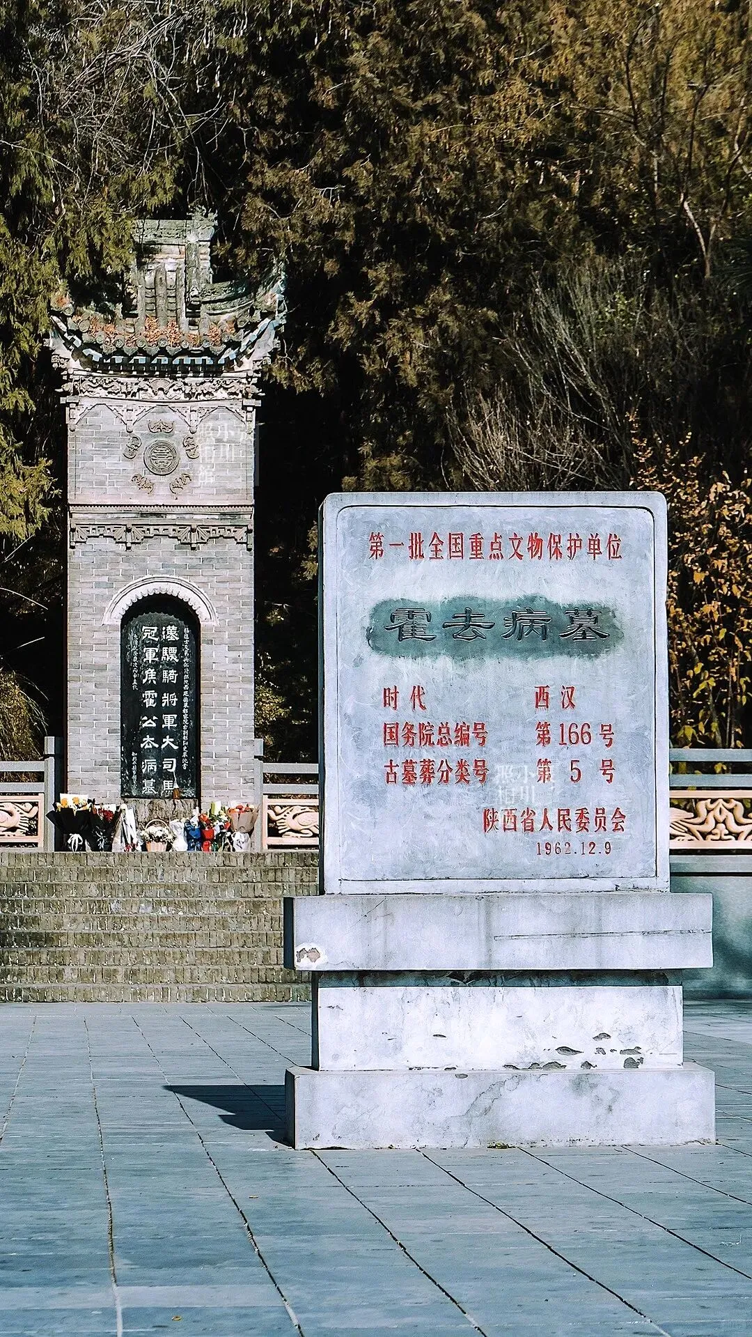 【2026中考结束+暑假双档】|秦岭地心与生灵探险记|招募 第12张
