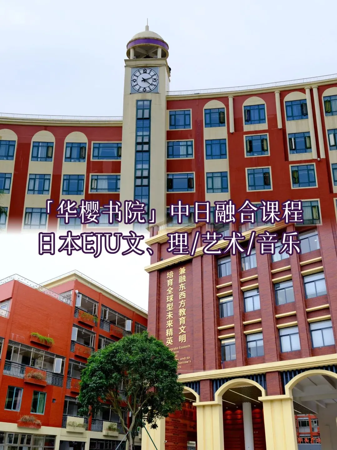 中考不是终点!「华樱书院」带你转轨日本国际教育,解锁另一种可能! 第2张 中考不是终点!「华樱书院」带你转轨日本国际教育,解锁另一种可能! 第2张