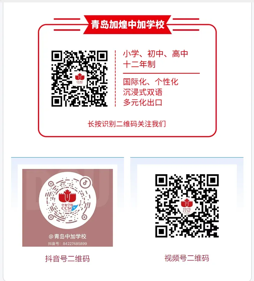 青岛中考志愿填报必看|青岛中加学校2026报考指南 第14张