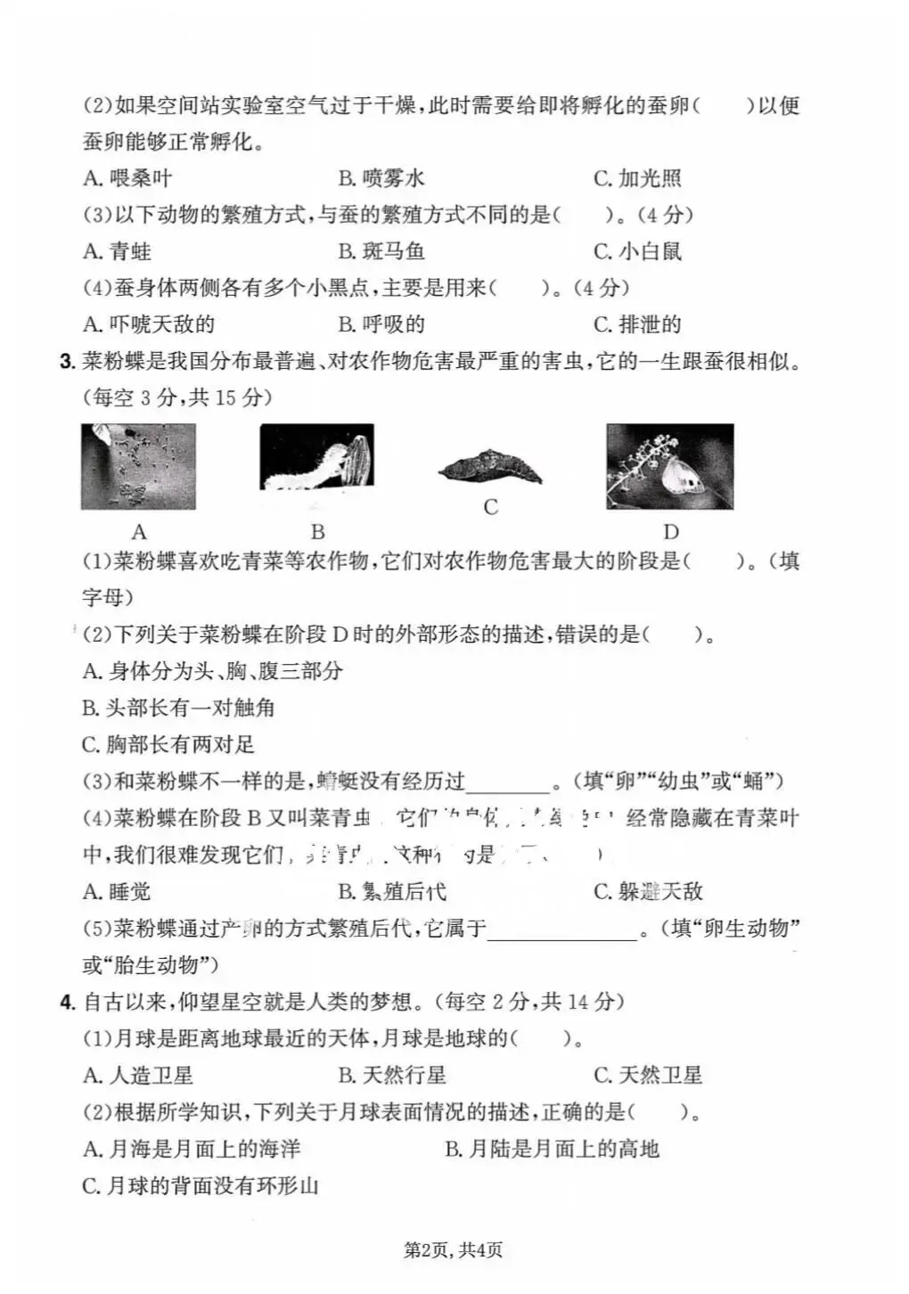 【期末试卷】2025-2026学年新教科版小学科学三年级下册期末质量检测卷,素养测评卷(含答案)6套 | 完整电子版可下载打印 第5张 【期末试卷】2025-2026学年新教科版小学科学三年级下册期末质量检测卷,素养测评卷(含答案)6套 | 完整电子版可下载打印 第5张
