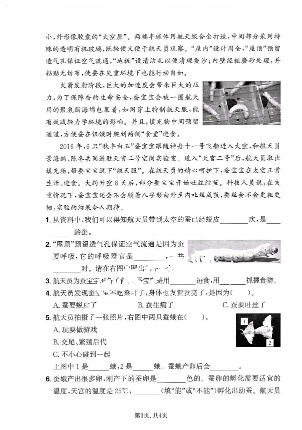 【期末试卷】2025-2026学年新教科版小学科学三年级下册期末质量检测卷,素养测评卷(含答案)6套 | 完整电子版可下载打印 第8张 【期末试卷】2025-2026学年新教科版小学科学三年级下册期末质量检测卷,素养测评卷(含答案)6套 | 完整电子版可下载打印 第8张