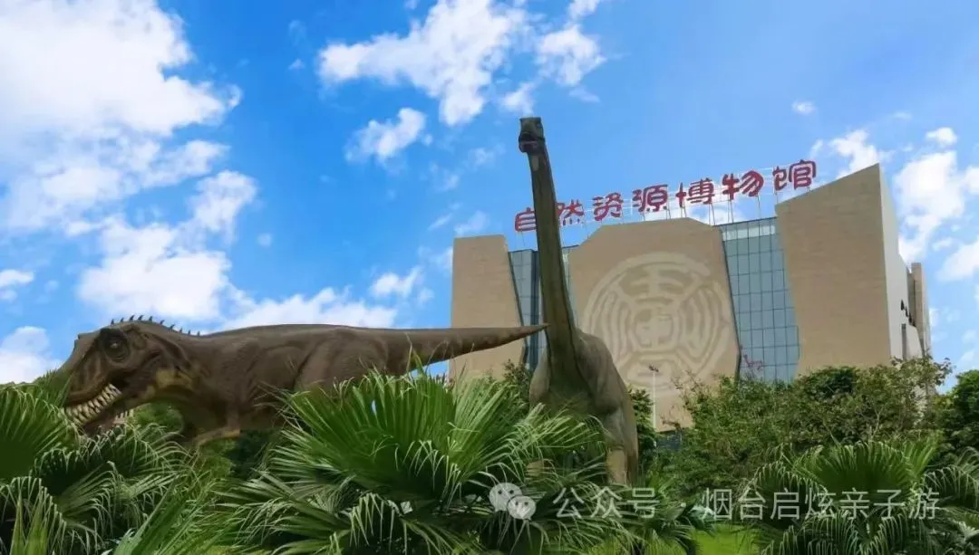 【启炫2026年六月中考毕业季 山水桂林 美动人间】6月20-24号水墨桂林 踏歌而行!桂林山水+龙脊梯田双飞五日亲子纯净之旅! 第24张