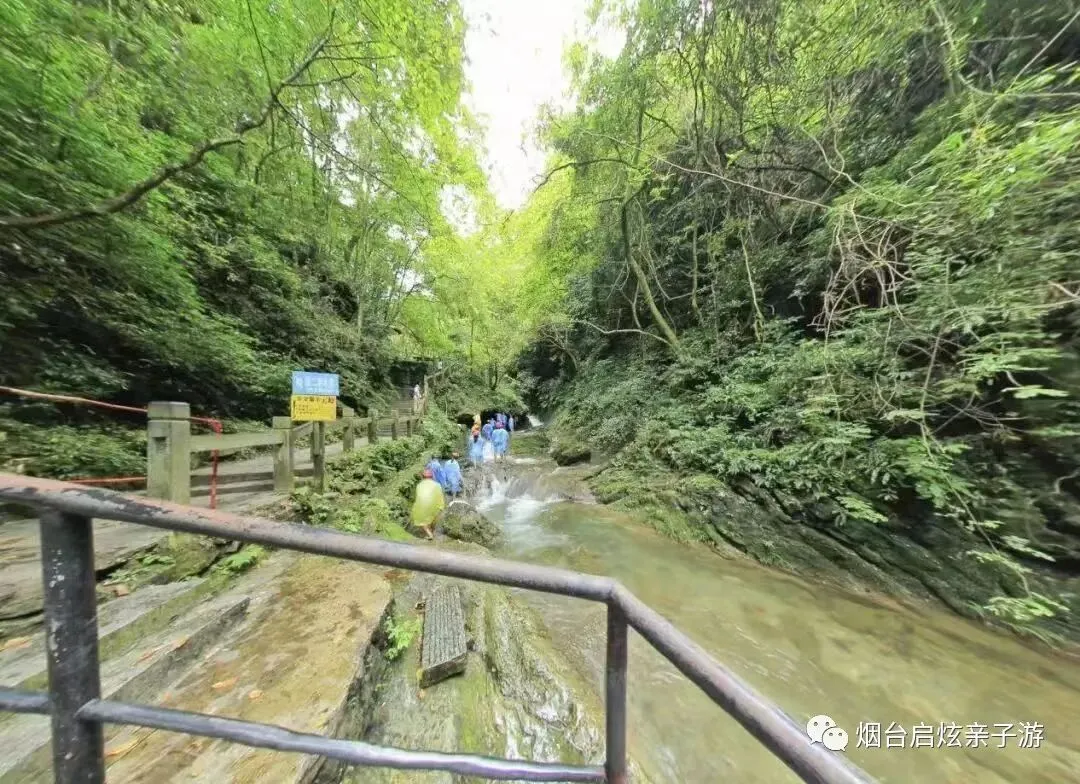 【启炫2026年六月中考毕业季 山水桂林 美动人间】6月20-24号水墨桂林 踏歌而行!桂林山水+龙脊梯田双飞五日亲子纯净之旅! 第31张